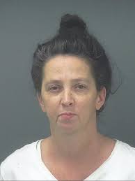 Teen allegedly sexually assaulted in port-a-potty by woman