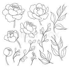 We did not find results for: Peony Flower And Leaves Line Drawing Vector Hand Drawn Outline Floral Set Simple Botanical Peonies Branch Flower Line Drawings Flower Drawing Peony Drawing