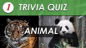 Please, try to prove me wrong i dare you. Animal Trivia Quiz 30 Animals Knowledge Trivia Questions And Answers Youtube