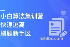 罗勇军算法精讲课（Python 版） - h23bc