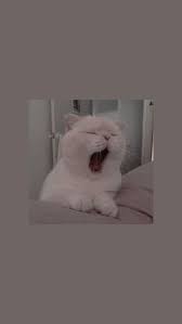 Beautify your iphone with a wallpaper from unsplash. Pin Auf Tapete Wallpaper Iphone Cute Cartoon Wallpaper Locked Wallpaper