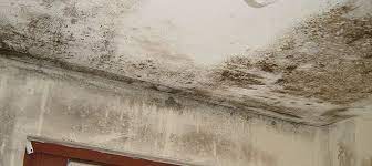 A Few Ways Of Dealing With Damp Proofing Walls Godecorating Damp Proofing Walls Damp Proofing Damp Proofing Diy