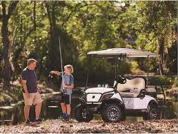 Las sendas golf club is located in the desert uplands of east mesa. Home Desert Golf Cars In Arizona Golf Car Dealer In Az