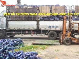 Chành xe gửi hàng đi Cà Mau từ Sài Gòn uy tín số 1