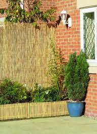 Bamboo is a grass, not a tree. Garden Privacy Ideas 5 Tips To Stop You Being Overlooked Primrose Blog
