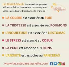 Les Organes Decodage Biologique Emotions Medecine