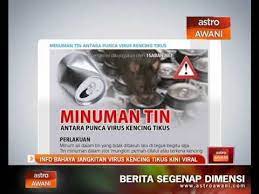 Menghindari adanya tikus yang berkeliaran di sekitar kita. Info Bahaya Jangkitan Virus Kencing Tikus Kini Viral Video Dailymotion
