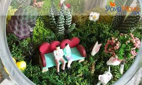 Teraryum Nedir