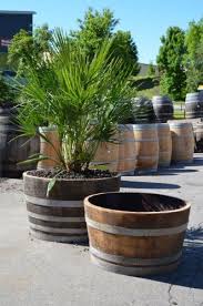 Pin De Manu En Garten Pflanzkubel Weinfass Y Weinfass Garten