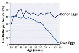 how age affects fertility global donor egg bank