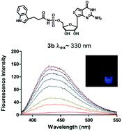 They want to end the pain and recover, but it's just like trying to shake a drug habit.ranked one of the top bestseller abusive relationship books, addicted to pain reveals the truths every woman needs to heal from a toxic relationship and return to a life rich with purpose and fulfillment. Switch On Fluorescent Fret Probes To Study Human Histidine Triad Nucleotide Binding Protein 1 Hhint1 A Novel Target For Opioid Tolerance And Neuropathic Pain Organic Biomolecular Chemistry Rsc Publishing