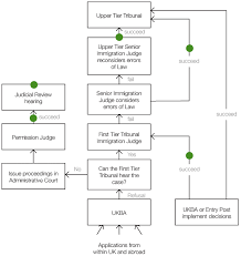 court flowchart the immigration law practice