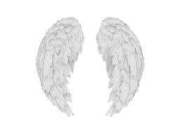 Wings Wing Alas Ala Overlay Tumblr White Blanco Angel Angel Wings Png Wings Png Overlays Transparent