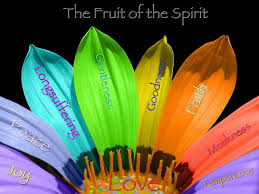 Fruit Of The Spirit Rainbow Flowers Beautiful Flowers Wallpapers Colorful Flowers