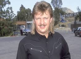 Image result for Hunter Green 1993 Town and Country