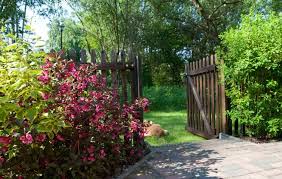 In einem familiären ambiente bieten wir möglichkeiten zur bewältigung der suchterkrankung und der rekonvaleszenz von störungen der körperlichen. Ferienhaus Im Spreewald Fur 2 3 Personen Am Neuendorfer See Mit Garten