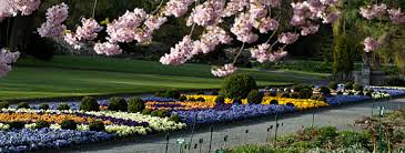 Things to do near botanical garden (botanischer garten). Botanischer Garten Hof Gartenbauliches Denkmal Parkanlage Im Theresienstein Hof