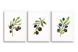 Olive Watercolor Painting Kitchen Wall Art Olives Restaurant Poster Botanical Print Set Black Olive Fine Art Print Set Of 3 Print Botanical Prints Botanical Print Set Art Print Set