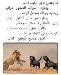 أسود تنبح فوقهن كلاب in 2021 animals dogs