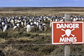 The Penguin Population That Thrives On Falklands Minefields Abandoned Places Animals Of The World Places Around The World