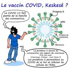 The advisory committee on immunization practices (acip) will. Le Vaccin Anti Covid Mais Comment Ca Marche Waldenstrom France