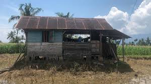 Tujuan politik tertinggi adalah untuk kemanusiaan. Cara Unik Jalani Isolasi Mandiri Di Kampung Halaman Buat Gubuk Di Hutan Hingga Kemah Di Tepi Sungai Tribunnews Com Mobile