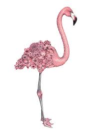 Surreal Colored Pencil Drawings Celebrate Fauna And Flora Designwrld Flamingo Art Flamingo Flamingo Tattoo