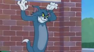 Tom Ve Jerry Kopek Evi Izlesene Com