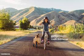 Image result for bicycle sidecar