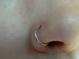 I Want This Nose Piercing So Bad It S Past The Point Of Begging Nose Piercing Cute Piercings Piercing