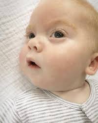 Click for Kids: Mrs. Amy Mallen