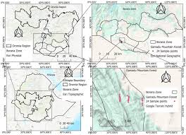 Image result for Secamone punctulata