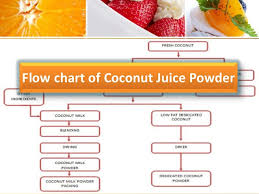 Fruit Juice Powder