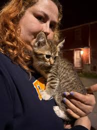 Has anyone lost a wallet