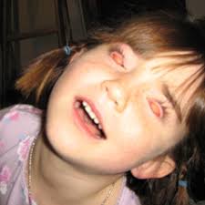 Stream Cat Chamber music