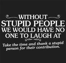 Thank You Dumb People Stupid Quotes Stupid Person Stupid People