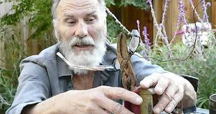 Old and new meet cool