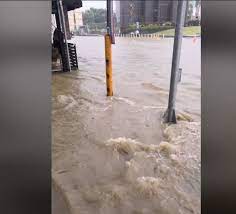 806,688 likes · 14,463 talking about this. æ–°èž é›¨å½ˆå†è¥²å—å°ç£ æ¨¹å¾·ç§'å¤§å‰ç‹‚æ·¹å¥¹å˜† çœ‹æ¿gossiping æ‰¹è¸¢è¸¢å¯¦æ¥­åŠ