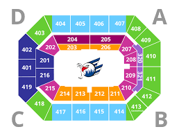 Einzeltickets Adler Mannheim