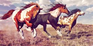 Stehendes pferd stehendes pferd vorlage als . Pferd Tattoo Vorlagen So Zeigst Du Die Liebe Zum Tier Desired De