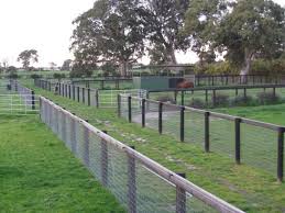 Check spelling or type a new query. Small Paddocks Keysborough Equine Farm Layout Backyard Fences Horse Yard