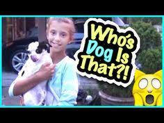Check spelling or type a new query. 11 Smelly Belly Tv Ideas Smelly Belly Tv