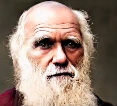 What was the Darwin rebellion?