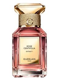Rose Centifolia Extrait 1 Guerlain perfume - a new fragrance for women and  men 2023