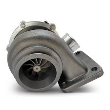 Image result for Turbina holubii