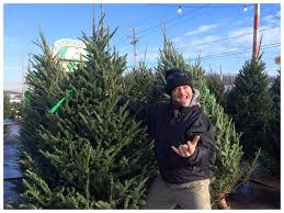 Check spelling or type a new query. Ken S Trees Dave S House