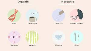 Understand The Difference Between Organic And Inorganic