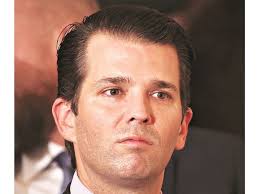 Mini-Donald's major fail