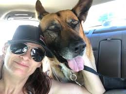 Are there tornado shelters in Northwest Arkansas?