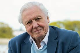 Toddler swallows battery: Kacie was left fighting for life after the  accident.